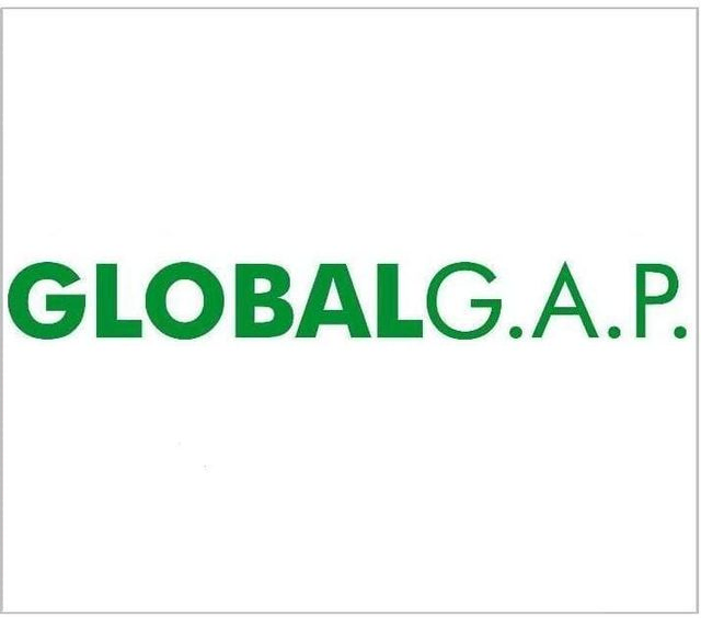 certificado global gap